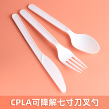 全降解一次性环保餐具勺子PLA硬加厚西餐套装 商用白色甜品刀叉勺