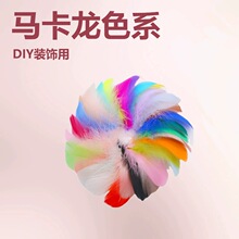 �F؛DIYС�hȾɫ�Zë��z�q��ɫ�R�������u��ë�YƷ������b�