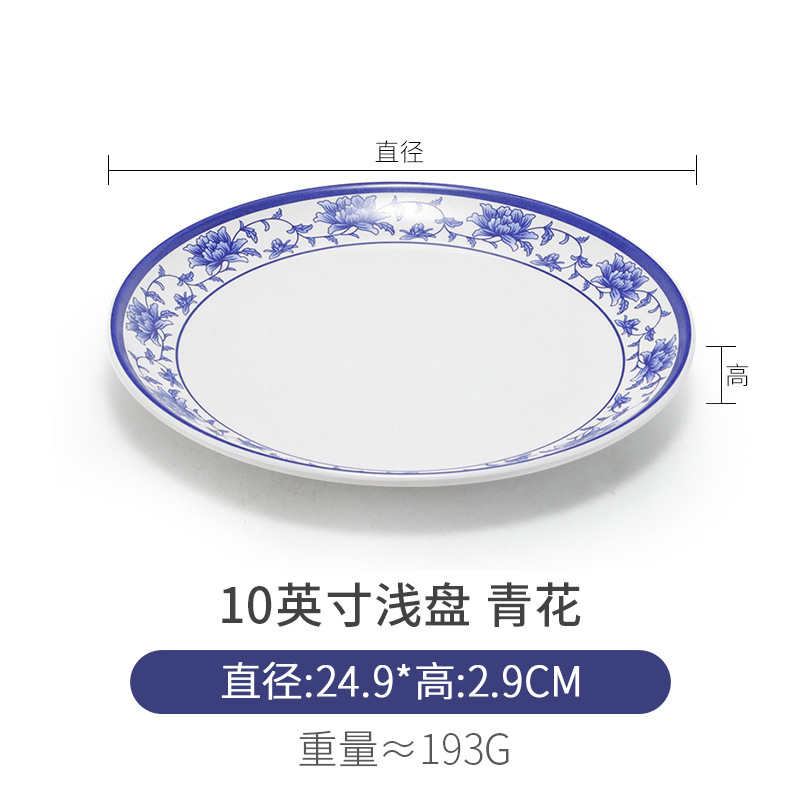 얕은 접시 10inch개