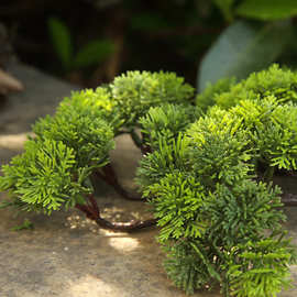 济州真柏叶子系鱼川盆景造型松柏枝叶人造崖柏迎客松树枝