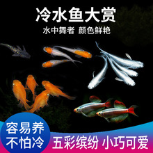 ԭ����ˮ�~�^�p�~�^�����F�~�\�F����С�͵�ˮԭ���~���B���B�ͻ�