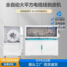 YH-DZ6300ȫ�ԄӴ�ƽ����|����Ƥ�C300ƽ���¾��C