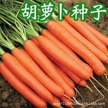 �S�a�t���}���N���r�ҙ���ˮ���}���N�Ѵ����＾ͥԺ�Nֲ�߲˷N��