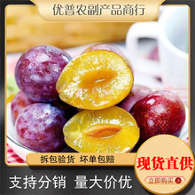 �½���÷���rˮ�����l����������ɽ����÷�r�������ЋD����һ����