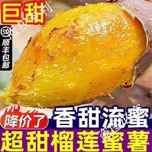 ��S���] ��Ʒ��ɏ�������r�t���S������ɳ�ع����ķ���ܛŴ����