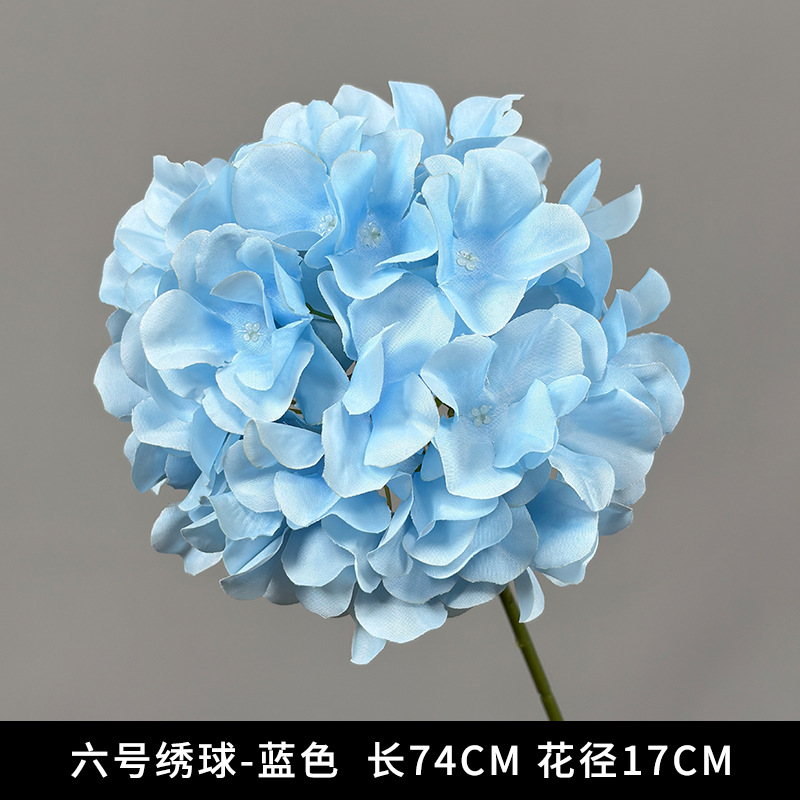 6호 수국 - 블루