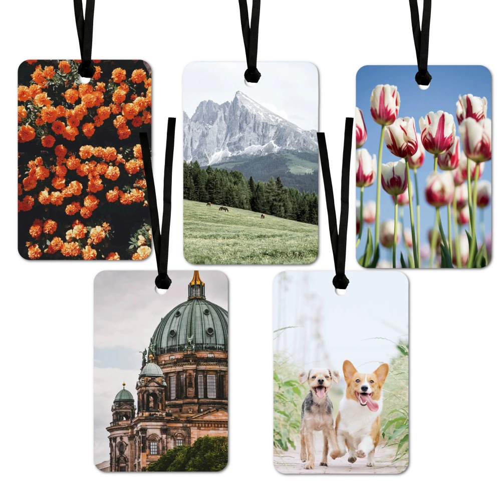 Автомобильные ароматизированные ароматизаторы Подвесные автомобильные ароматизаторы