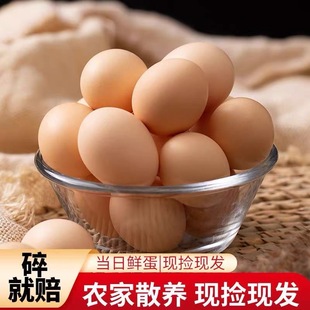 �F��F�l�����r��ɢ�B���u�����ι�Bɽ��������B����ɽ��ɢ�B