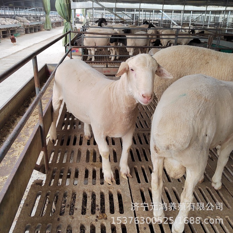 BC7D05CB76279323F105841E682A7E