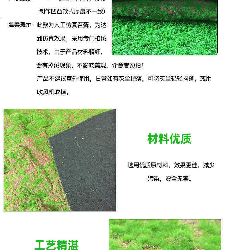 苔藓草皮详情_02.jpg