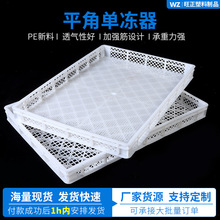 厂家批发冷冻盘加厚蔬菜晾晒烘干盘食品冻框烘干托盘塑料单冻器