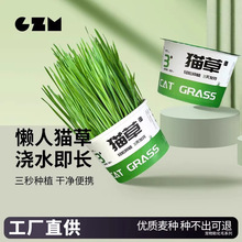 猫草猫草盆栽水懒人猫草罐头培幼猫咪助草化薄毛荷片膏盆瓜洲牧