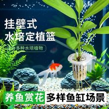�G�}�Nֲ��ˮ�ݱ�ˮ�ϲ�ˮ��ͦˮֲ���ʽ��ֲ�@�~���b��쾰���