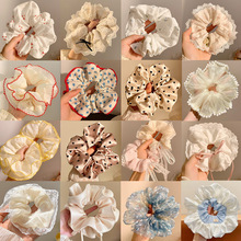 �nϵ��̖�����Y�黨���c�lȦ�������c�^�K�߼��М���l�K�ٴ��^�