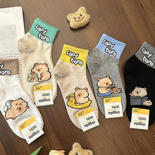 【现货】2025卡通卡皮巴拉春夏拼色韩国进口singgoba代购棉女短筒