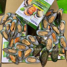 mSؐ 2*10/ ك뚤ؐ mؐ