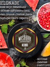 _˹Mˮ ưKTVضȴFMUSTHAVE SHISHA FLAVOR