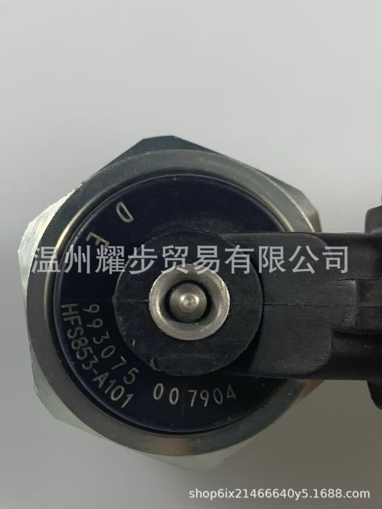 High-Pressure Fuel Pump Plug Yilisu Electric Solenoid Valve Universal Model A3A4A5A6Q5Q7Cctt for Personal Use