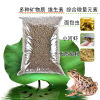 Horned Frogs Frog feed Tadpole Powder Frogs feed breed Bullfrog Tiger Spots Rana feed grain