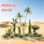 北欧仿真植物热带仙人柱