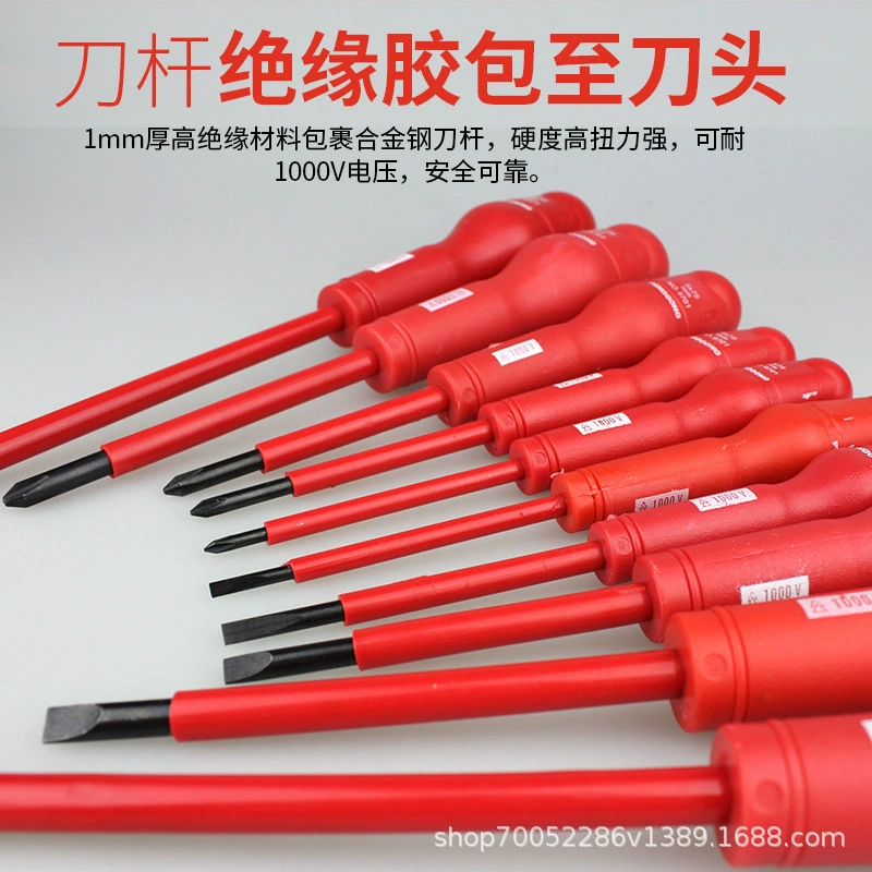 Screwdriver, set, 1000v
