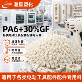 PA6;PA66;PPA
