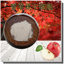 青苹果干细胞粉支持检测化妆品原料无中间商苹果破壁干细胞