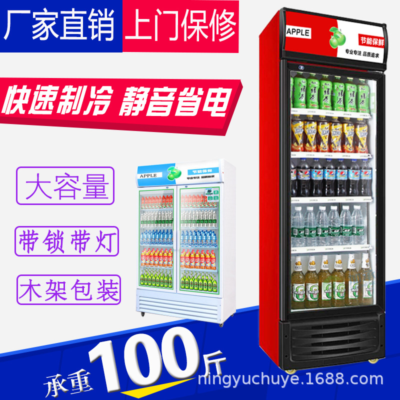 啤酒柜 商用立式饮料展示柜超市双门冷藏保鲜柜便利店单双门冷柜