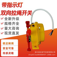 ˫���������ش�ָʾ��RNS-II XDT-A-1G Ƥ�����ͼ�ͣ�������߿���