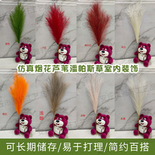 小红书烟花芦苇树草跨境亚马逊ins风9叉70cm蒲苇狗尾巴草婚礼装饰