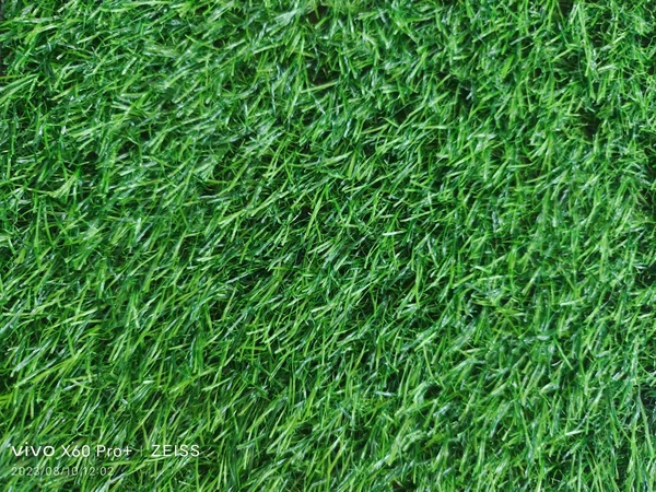 30mm spring grass no glue [ordinary model]