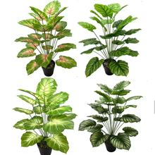 ���R�d�羳����Gֲ��Ϭţ�~��c�Ҿ��b��辰���Լ٘��O���~ܛ�b