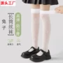 过膝宝宝定制女童袜子