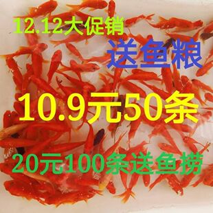 �ݽ��~���w ��ˮ�^�p�~ С���~���w ��ˮ�~ �����~