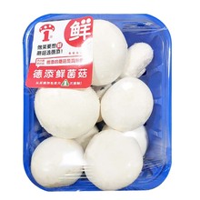 ����������Ģ��Ģ���ۻ��ɿڿ��͏d���l��S�l؛�r�����