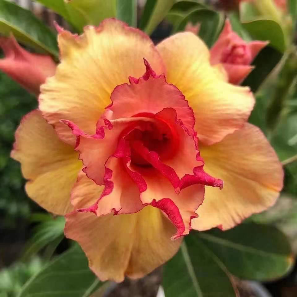 9c25804b-eb24-49a5-9f5d-71ffaa847ef1.jpe