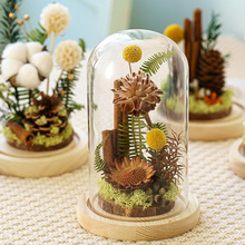 ɭϵɻֲ˱ӼҔ[ˇɭϵYֶY͋