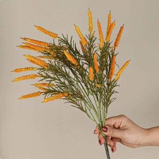 ���滨�JȔ�ݼٲ���Gֲëë�x؈β�ݼٻ����b��쾰�^