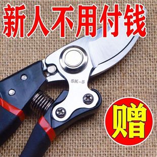 German Craftsmanship Imported Steel Branch Shears, Tree Shears, Fruit Tree Pruning Scissors, Household Flower and Wood Grape Pruning Branches