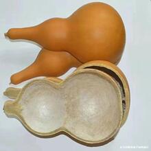 ưʢ��ʽ������Ȼ���J�r��ˮưľˮư��ʽľưˮưˮư��ʽ