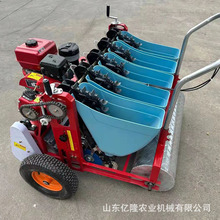 汽油手推式大蒜种蒜机 三行蒜苗蒜瓣点播机 株距可调大蒜种植机
