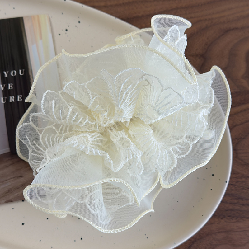 20250220-2025_02_20_13_25_IMG_