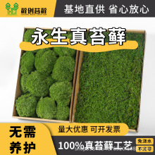 ����̦�\�װl���С�Ҵ����\�҃�ܛ�b�쾰���ֲ���������̦�\