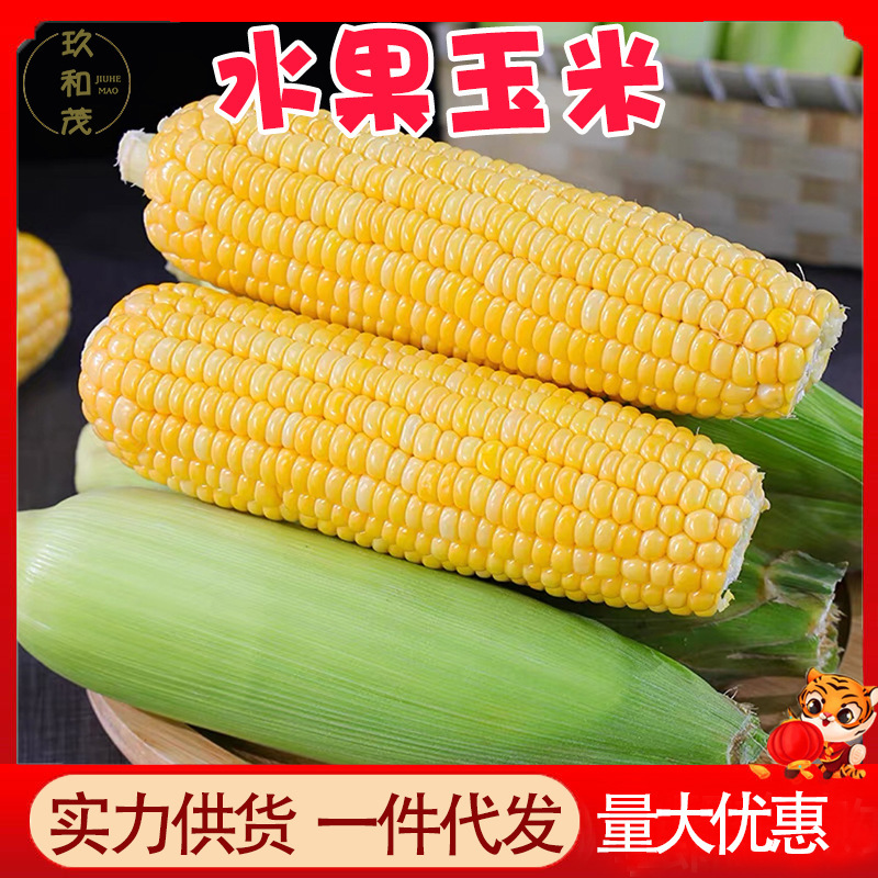 Yunnan Golden and Silver Fruit Corn 4.5kg Whole Box of Corn Cobs Vegetables Free Shipping 10 Wholesale 5 Sticky Sweet Yellow Corn Sweet and Glutinous Yunnan Golden and Silver Fruit Corn 4.5kg Whole Box of Corn Cobs Vegetables Free Shipping 10 Wholesale 5 Sticky Sweet Yellow Corn Sweet and Glutinous