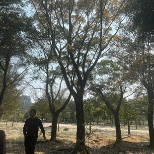 �����tƤ�Ż����е���С�~���Ϙ��a�؈�r���~�����l