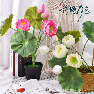 ����ɻ�ɏ����~ɏ������͏d�[�żٻ�ˮ���b��쾰���b�Ĕz����
