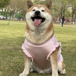 �ļ��_Ħ����͸�����ɐ۷���ë�����·��д���Ȯ��ë��Ȯ���·�