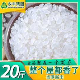 东北大米10斤20斤大米批发价东北珍珠大米产地直发现磨现跨境电商