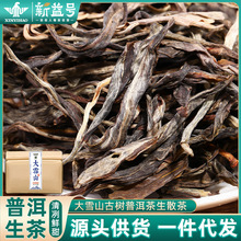 新益号大雪山普洱茶生茶散茶云南古树春茶袋装口粮茶叶批发自己喝