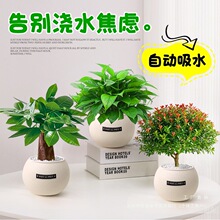 �Gֲ�҃������k�������滨��ֲ��G�}�lؔ������ȩ�����՚���B��